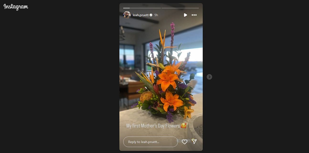 Leah Pruett's story on May 9. Screenshot via @leah.pruett on Instagram